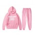 Custom Logo Pullover Pink Sweatshirts Oversized Fitness Mens Blank Plain Gym Hoodies Set