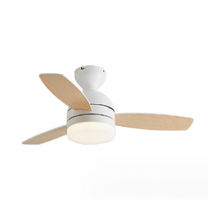 Fan lamp