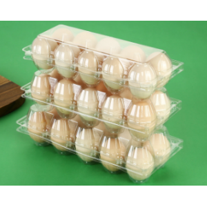 Plastic egg carton