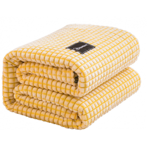 Polyester blanket