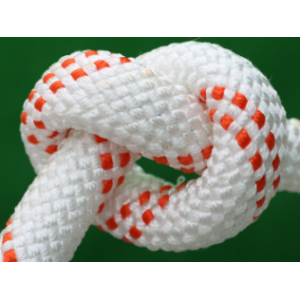 Polyester rope