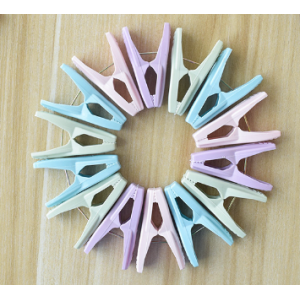 Plastic clothes peg