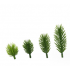 Plastic decoration