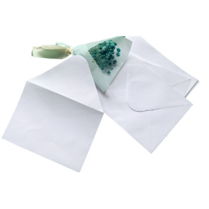 Paper envelope