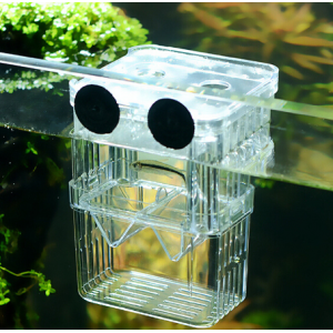 Plastic incubator