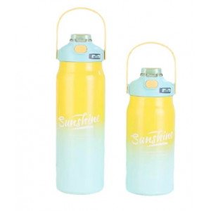Stainless steel insulated cup