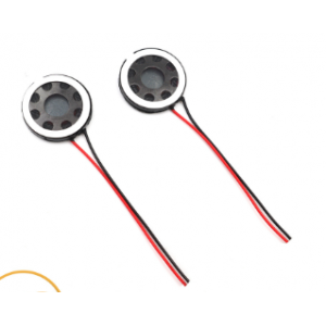 Plastic loudspeaker