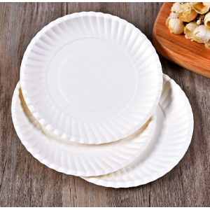 Paper plate