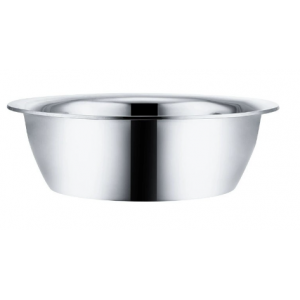 Stainless steel basin