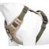 Pet braces