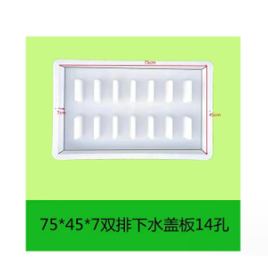 Plastic mold