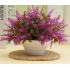 Plastic artificial plant
