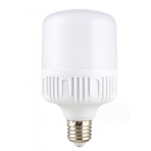 bulb
