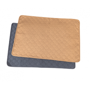 Pet training mat