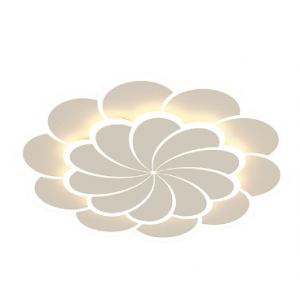 Ceiling light