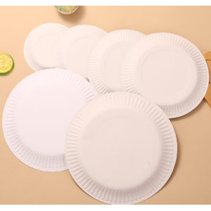 Paper dinner plate set