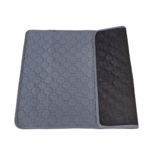 Pet training mat