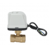 Plastic ball valve