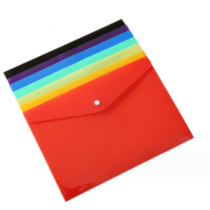 Plastic file bag