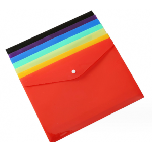 Plastic file bag
