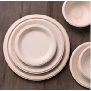 Paper tableware