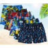 Men‘s beach pants