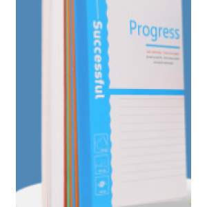 plastic luggage tags