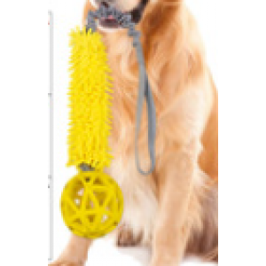 Pet Supplies