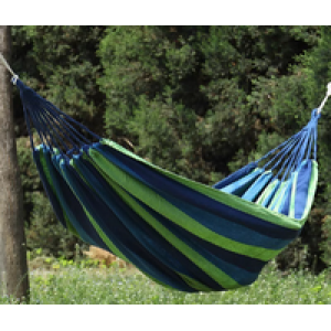 Hammock