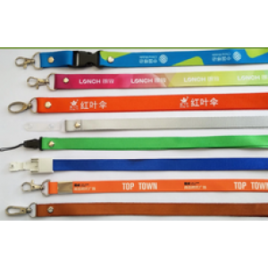 Lanyard