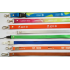 Lanyard