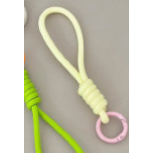 Lanyard