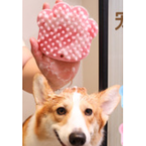 Pet supplies