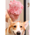 Pet supplies