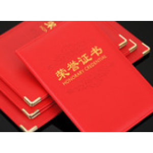 Plastic certificate sleeve