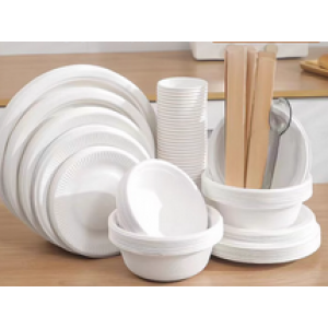 Paper Tableware