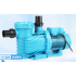 Swimming Pool Water Pump