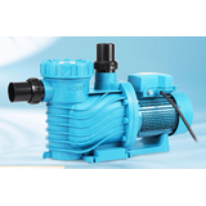Swimming Pool Water Pump