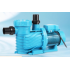 Swimming Pool Water Pump