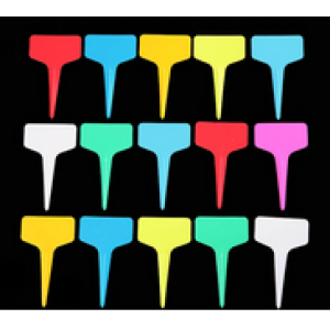 Plastic Card Insertion