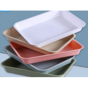 Plastic Tray