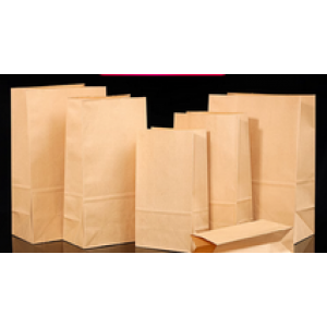 Paper Bag
