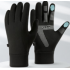 Glove
