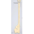 Height hanging ruler