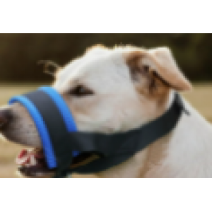Pet supplies