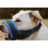 Pet supplies