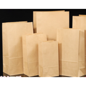 Paper Bag
