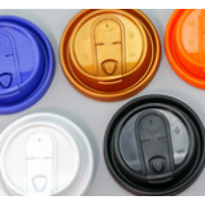 Plastic lid