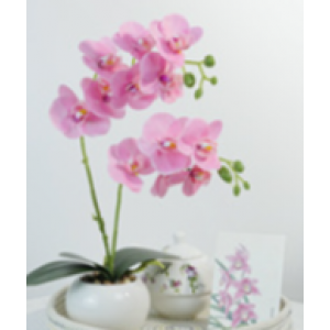Plastic flowers