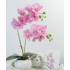 Plastic flowers
